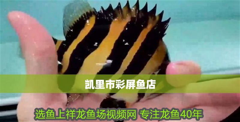 凱里市彩屏魚店 全國水族館企業名錄 第1張 凱里市彩屏魚店 凱里市彩屏魚店 全國水族館企業名錄 第1張