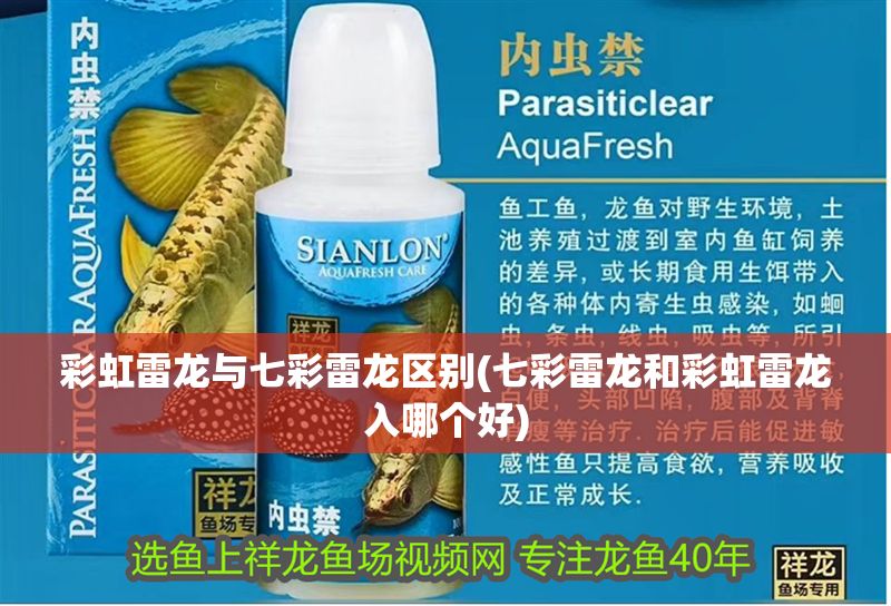 彩虹雷龍與七彩雷龍區(qū)別(七彩雷龍和彩虹雷龍入哪個好)