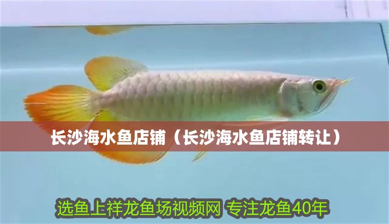 長沙海水魚店鋪(長沙海水魚店鋪轉(zhuǎn)讓) 全國水族館企業(yè)名錄 第1張 長沙海水魚店鋪(長沙海水魚店鋪轉(zhuǎn)讓) 長沙海水魚店鋪(長沙海水魚店鋪轉(zhuǎn)讓) 全國水族館企業(yè)名錄 第1張
