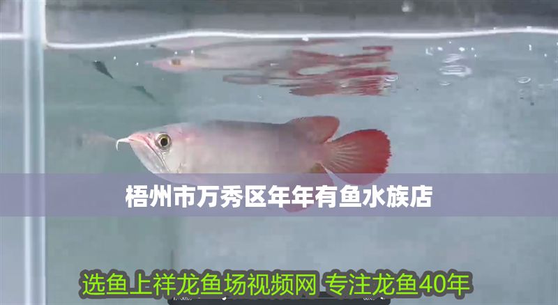 梧州市萬秀區年年有魚水族店