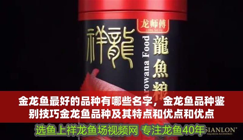 金龍魚最好的品種有哪些名字，金龍魚品種鑒別技巧金龍魚品種及其特點和優(yōu)點和優(yōu)點
