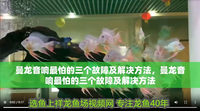 曼龍音響最怕的三個故障及解決方法，曼龍音響最怕的三個故障及解決方法