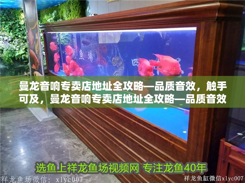 曼龍音響專賣店地址全攻略—品質音效，觸手可及，曼龍音響專賣店地址全攻略—品質音效，觸手可及