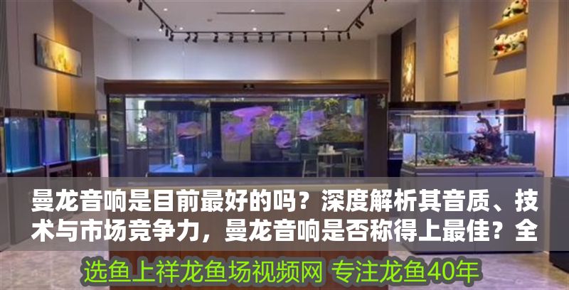 曼龍音響是目前最好的嗎？深度解析其音質、技術與市場競爭力，曼龍音響是否稱得上最佳？全面剖析其音質表現、核心技術及市場競爭力