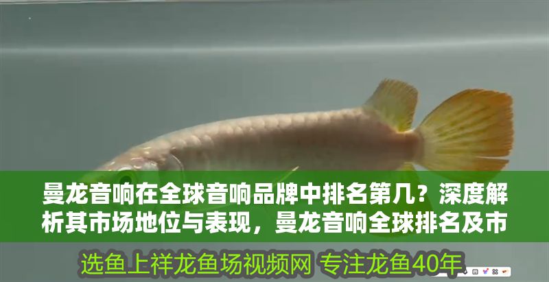 曼龍音響在全球音響品牌中排名第幾？深度解析其市場(chǎng)地位與表現(xiàn)，曼龍音響全球排名及市場(chǎng)地位深度解析