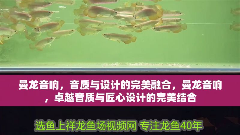 曼龍音響，音質與設計的完美融合，曼龍音響，卓越音質與匠心設計的完美結合