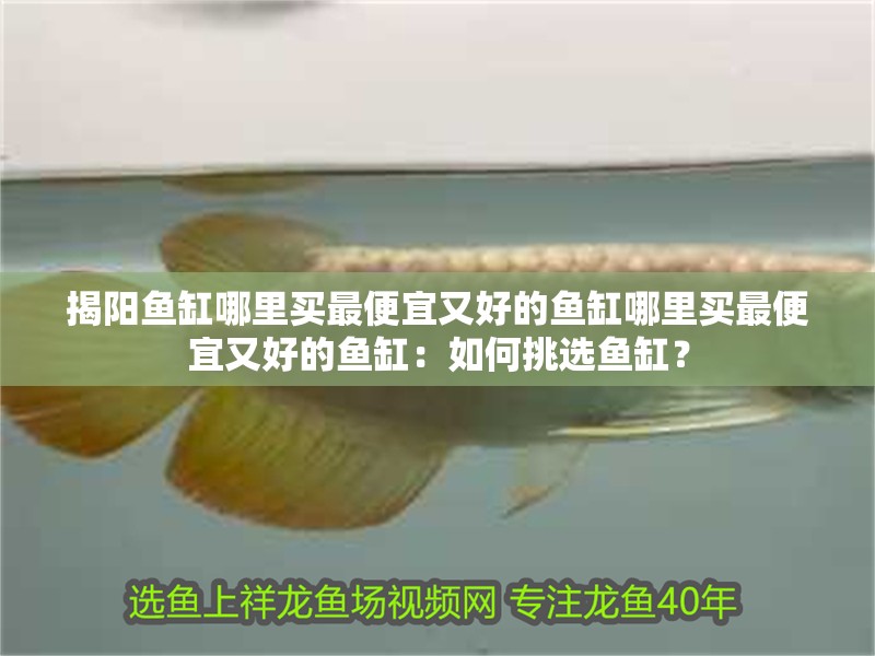 揭陽魚缸哪里買最便宜又好的魚缸哪里買最便宜又好的魚缸：如何挑選魚缸？