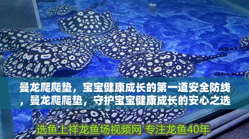 曼龍爬爬墊，寶寶健康成長的第一道安全防線，曼龍爬爬墊，守護寶寶健康成長的安心之選