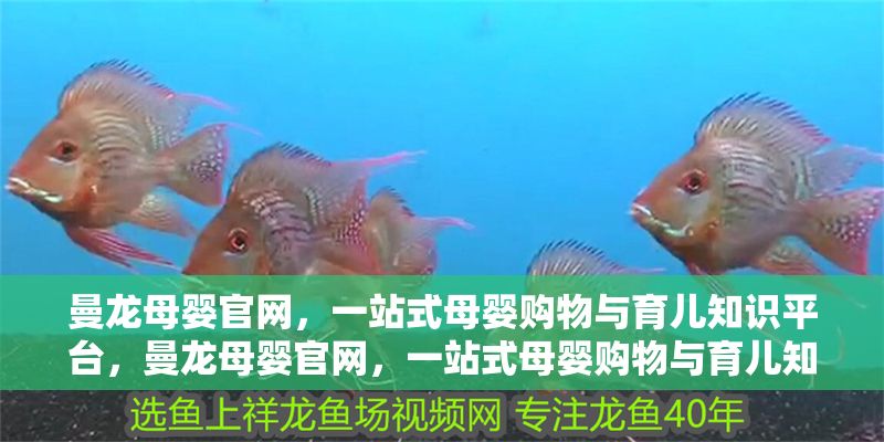 曼龍母嬰官網，一站式母嬰購物與育兒知識平臺，曼龍母嬰官網，一站式母嬰購物與育兒知識平臺