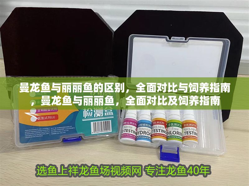 曼龍魚與麗麗魚的區別,全面對比與飼養指南,曼龍魚與麗麗魚,全面對比及飼養指南 龍魚百科 第1張 曼龍魚與麗麗魚的區別,全面對比與飼養指南,曼龍魚與麗麗魚,全面對比及飼養指南 曼龍魚與麗麗魚的區別,全面對比與飼養指南,曼龍魚與麗麗魚,全面對比及飼養指南 龍魚百科 第1張