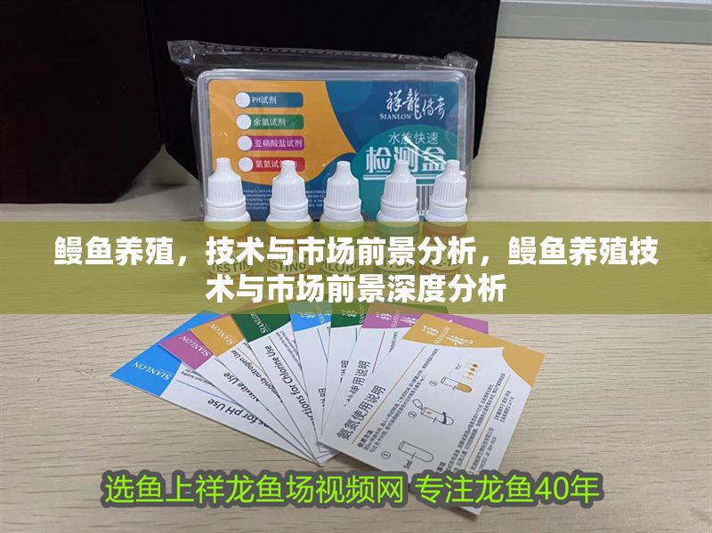 鰻魚養(yǎng)殖，技術(shù)與市場(chǎng)前景分析，鰻魚養(yǎng)殖技術(shù)與市場(chǎng)前景深度分析