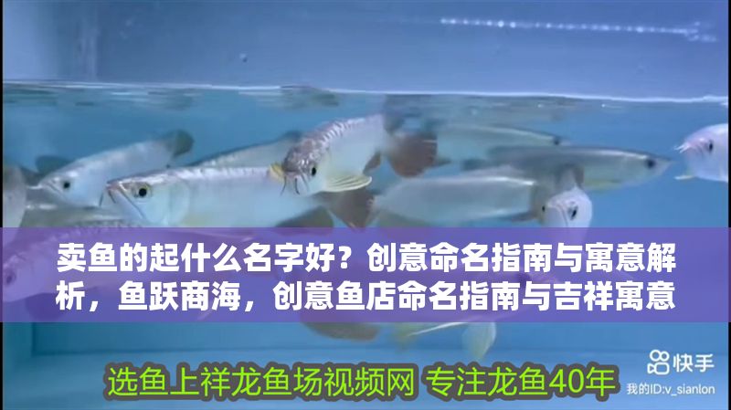 賣魚的起什么名字好？創意命名指南與寓意解析，魚躍商海，創意魚店命名指南與吉祥寓意全解析