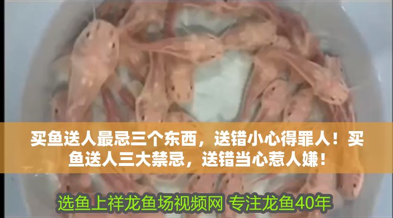 買魚送人最忌三個東西，送錯小心得罪人！買魚送人三大禁忌，送錯當心惹人嫌！