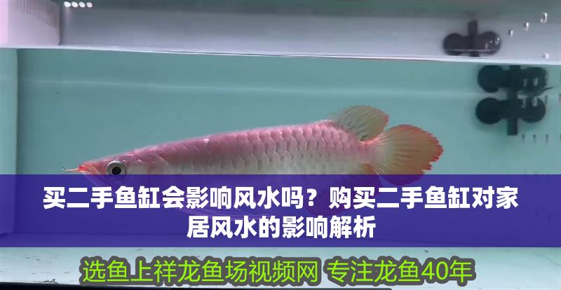 買二手魚缸會影響風水嗎？購買二手魚缸對家居風水的影響解析