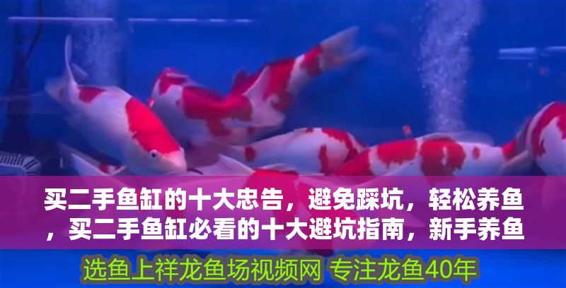 買二手魚缸的十大忠告，避免踩坑，輕松養(yǎng)魚，買二手魚缸必看的十大避坑指南，新手養(yǎng)魚無憂