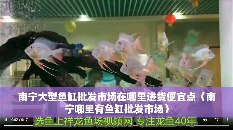 南寧大型魚缸批發市場在哪里進貨便宜點（南寧哪里有魚缸批發市場）