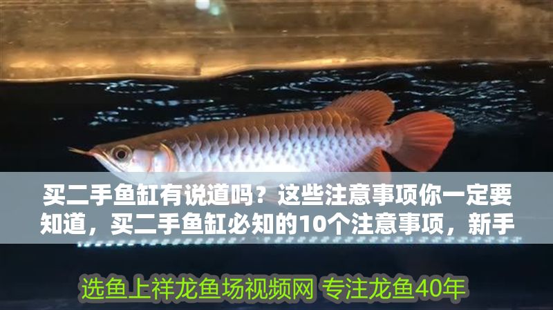 買二手魚缸有說道嗎？這些注意事項(xiàng)你一定要知道，買二手魚缸必知的10個(gè)注意事項(xiàng)，新手避坑指南！