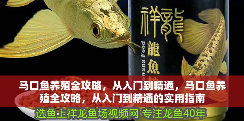 馬口魚養殖全攻略，從入門到精通，馬口魚養殖全攻略，從入門到精通的實用指南