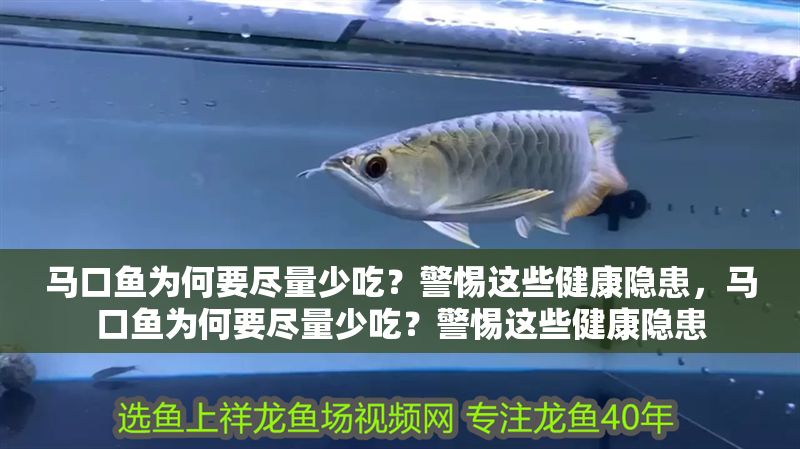 馬口魚為何要盡量少吃？警惕這些健康隱患，馬口魚為何要盡量少吃？警惕這些健康隱患 馬口魚為何要盡量少吃？警惕這些健康隱患，馬口魚為何要盡量少吃？警惕這些健康隱患 龍魚百科 第1張