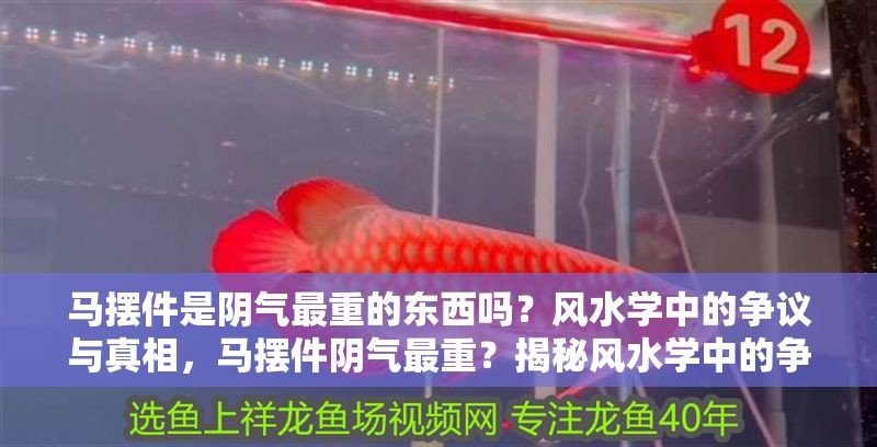 馬擺件是陰氣最重的東西嗎？風(fēng)水學(xué)中的爭議與真相，馬擺件陰氣最重？揭秘風(fēng)水學(xué)中的爭議與真相