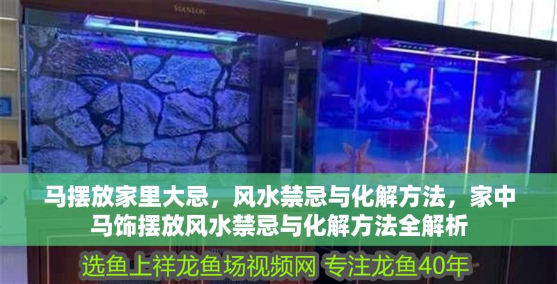 馬擺放家里大忌，風(fēng)水禁忌與化解方法，家中馬飾擺放風(fēng)水禁忌與化解方法全解析