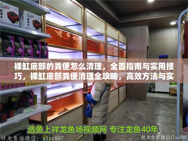 裸缸底部的糞便怎么清理，全面指南與實用技巧，裸缸底部糞便清理全攻略，高效方法與實用技巧