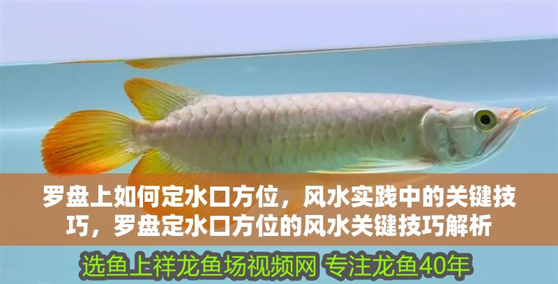 羅盤上如何定水口方位，風(fēng)水實(shí)踐中的關(guān)鍵技巧，羅盤定水口方位的風(fēng)水關(guān)鍵技巧解析