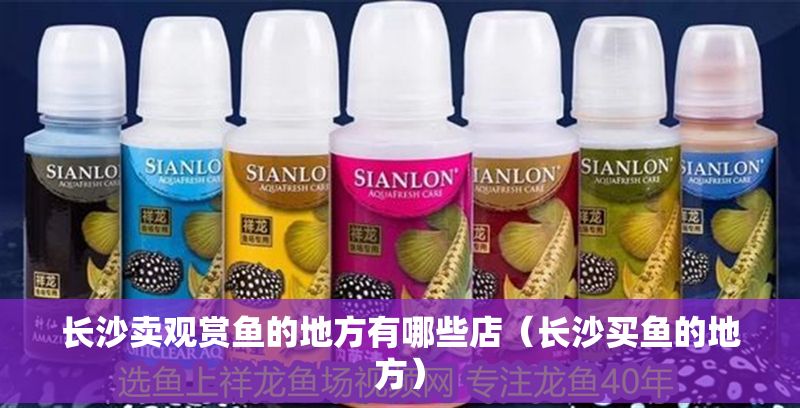 長沙賣觀賞魚的地方有哪些店（長沙買魚的地方）