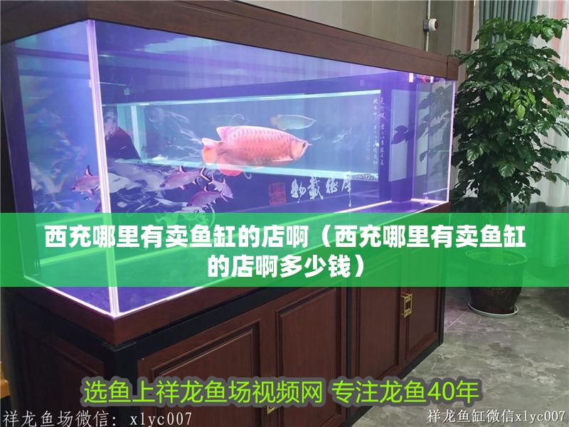 西充哪里有賣魚缸的店啊（西充哪里有賣魚缸的店啊多少錢）