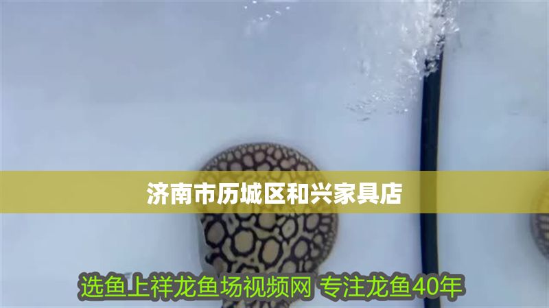 濟南市歷城區(qū)和興家具店 濟南市歷城區(qū)和興家具店 全國水族館企業(yè)名錄 第2張