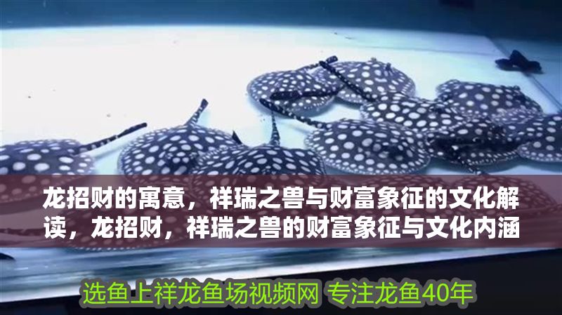 龍招財?shù)脑⒁猓槿鹬F與財富象征的文化解讀，龍招財，祥瑞之獸的財富象征與文化內(nèi)涵解析，龍招財，祥瑞之獸的財富象征與文化內(nèi)涵解析