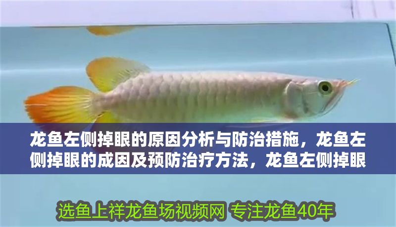 龍魚左側掉眼的原因分析與防治措施，龍魚左側掉眼的成因及預防治療方法，龍魚左側掉眼的成因與防治方法解析