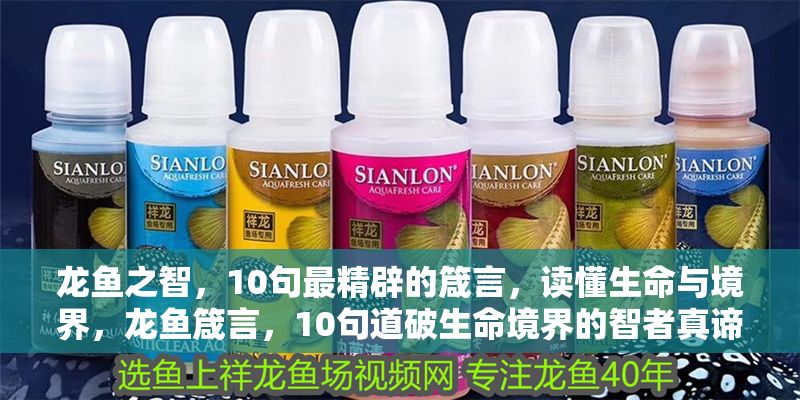 龍魚之智，10句最精辟的箴言，讀懂生命與境界，龍魚箴言，10句道破生命境界的智者真諦，龍魚箴言，10句道破生命境界的智者真諦