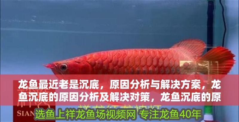 龍魚最近老是沉底，原因分析與解決方案，龍魚沉底的原因分析及解決對策，龍魚沉底的原因與解決方法