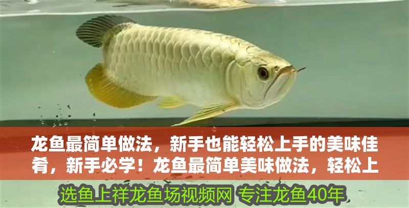 龍魚最簡單做法，新手也能輕松上手的美味佳肴，新手必學！龍魚最簡單美味做法，輕松上手零失敗，新手必學！零失敗龍魚最簡單美味做法