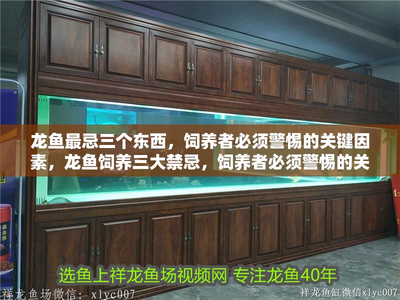 龍魚最忌三個東西，飼養(yǎng)者必須警惕的關鍵因素，龍魚飼養(yǎng)三大禁忌，飼養(yǎng)者必須警惕的關鍵因素，龍魚飼養(yǎng)三大禁忌，飼養(yǎng)者必須警惕的關鍵因素