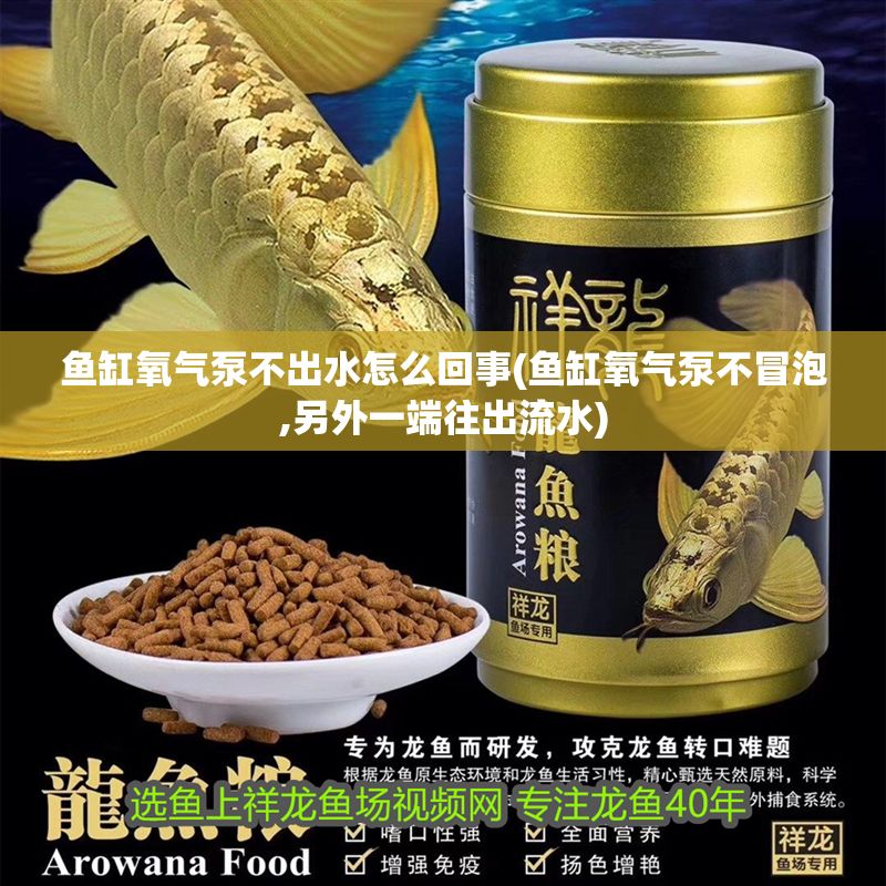 魚缸氧氣泵不出水怎么回事(魚缸氧氣泵不冒泡,另外一端往出流水)
