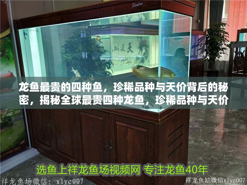 龍魚最貴的四種魚，珍稀品種與天價背后的秘密，揭秘全球最貴四種龍魚，珍稀品種與天價背后的秘密，揭秘全球最貴四種龍魚，珍稀品種與天價背后的秘密