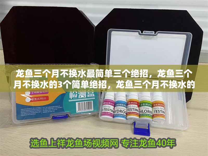 龍魚三個月不換水最簡單三個絕招，龍魚三個月不換水的3個簡單絕招，龍魚三個月不換水的3個簡單絕招
