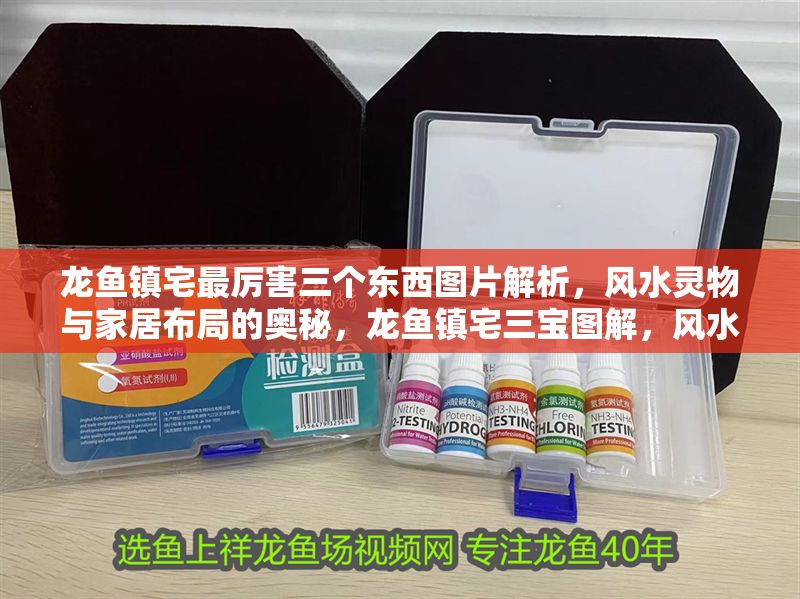 龍魚鎮(zhèn)宅最厲害三個(gè)東西圖片解析，風(fēng)水靈物與家居布局的奧秘，龍魚鎮(zhèn)宅三寶圖解，風(fēng)水靈物與家居布局全揭秘，龍魚鎮(zhèn)宅三寶圖解，風(fēng)水靈物與家居布局全解析 龍魚鎮(zhèn)宅最厲害三個(gè)東西圖片解析，風(fēng)水靈物與家居布局的奧秘，龍魚鎮(zhèn)宅三寶圖解，風(fēng)水靈物與家居布局全揭秘，龍魚鎮(zhèn)宅三寶圖解，風(fēng)水靈物與家居布局全解析 龍魚百科 第1張