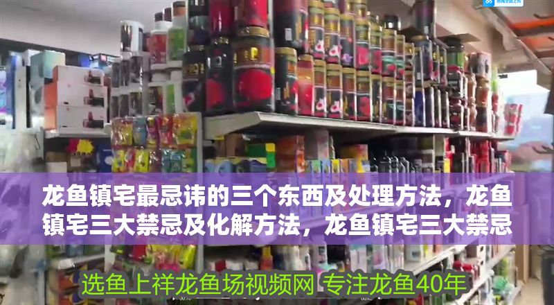 龍魚鎮宅最忌諱的三個東西及處理方法，龍魚鎮宅三大禁忌及化解方法，龍魚鎮宅三大禁忌及化解方法 龍魚鎮宅最忌諱的三個東西及處理方法，龍魚鎮宅三大禁忌及化解方法，龍魚鎮宅三大禁忌及化解方法 龍魚百科 第1張