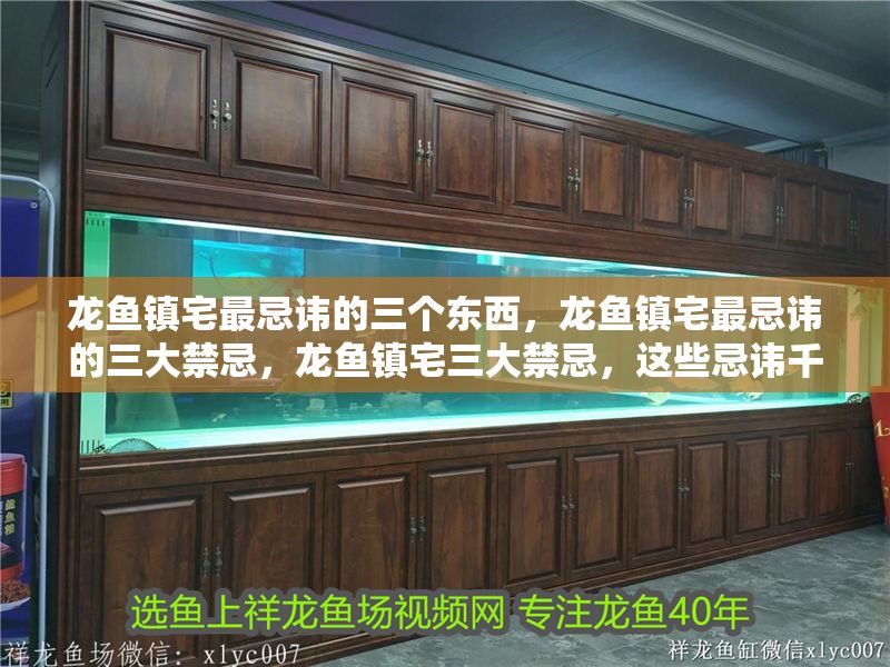 龍魚鎮宅最忌諱的三個東西，龍魚鎮宅最忌諱的三大禁忌，龍魚鎮宅三大禁忌，這些忌諱千萬不能犯！ 龍魚鎮宅最忌諱的三個東西，龍魚鎮宅最忌諱的三大禁忌，龍魚鎮宅三大禁忌，這些忌諱千萬不能犯！ 龍魚百科 第1張