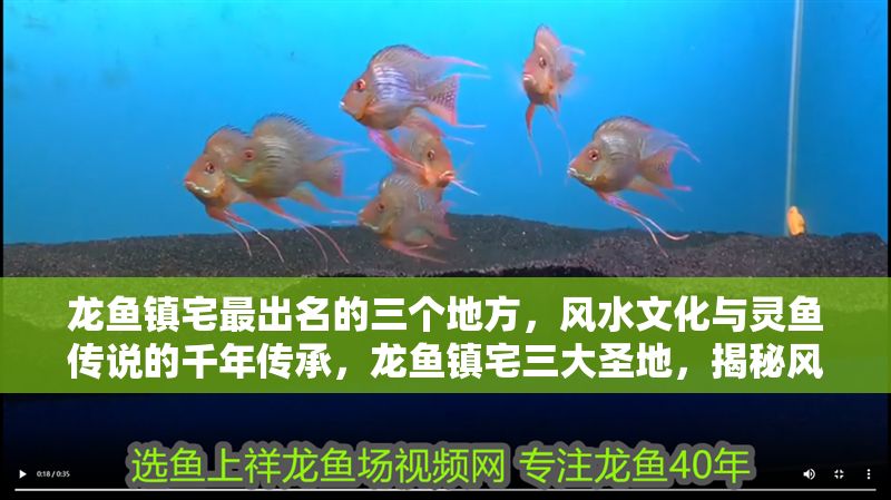 龍魚鎮(zhèn)宅最出名的三個(gè)地方，風(fēng)水文化與靈魚傳說(shuō)的千年傳承，龍魚鎮(zhèn)宅三大圣地，揭秘風(fēng)水文化與靈魚傳說(shuō)的千年傳承，龍魚鎮(zhèn)宅三大圣地，揭秘風(fēng)水文化與靈魚傳說(shuō)的千年傳承