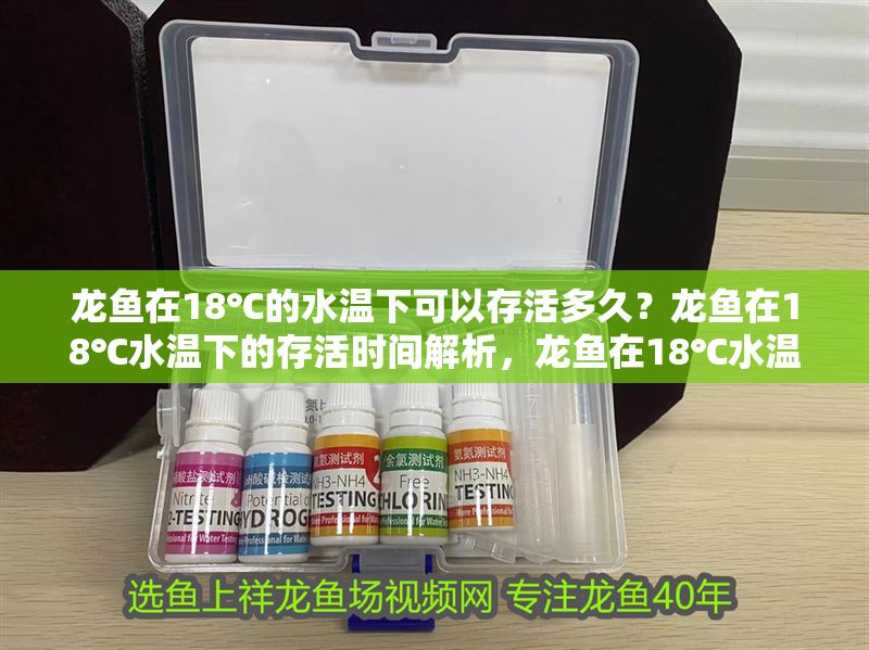 龍魚在18℃的水溫下可以存活多久？龍魚在18℃水溫下的存活時間解析，龍魚在18℃水溫下的存活時間及影響因素分析 龍魚在18℃的水溫下可以存活多久？龍魚在18℃水溫下的存活時間解析，龍魚在18℃水溫下的存活時間及影響因素分析 龍魚百科 第1張