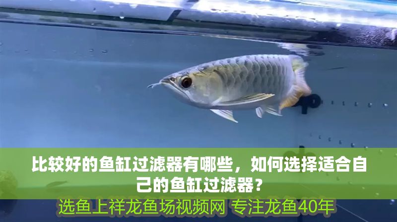 比較好的魚缸過濾器有哪些，如何選擇適合自己的魚缸過濾器？