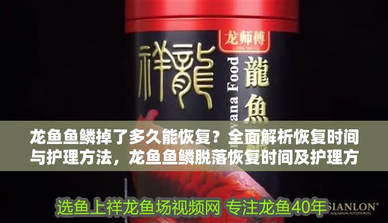 龍魚魚鱗掉了多久能恢復(fù)？全面解析恢復(fù)時(shí)間與護(hù)理方法，龍魚魚鱗脫落恢復(fù)時(shí)間及護(hù)理方法全解析，龍魚魚鱗脫落恢復(fù)時(shí)間及護(hù)理方法全解析