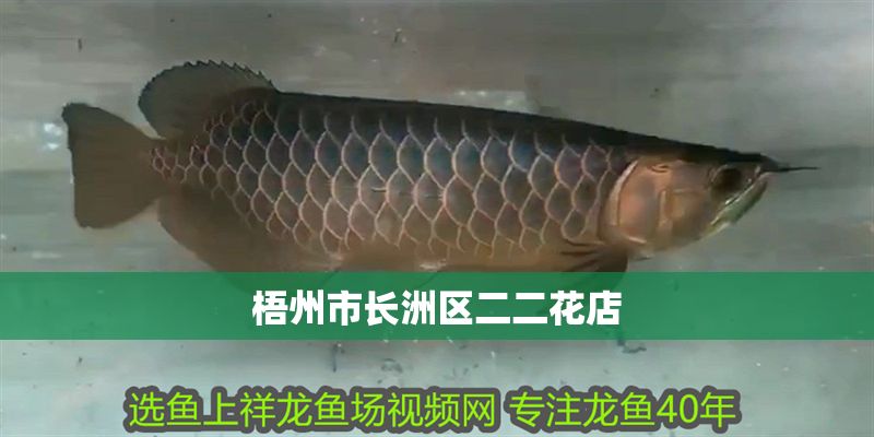 梧州市長洲區二二花店