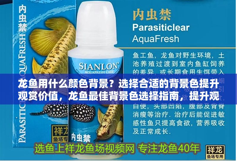 龍魚用什么顏色背景?選擇合適的背景色提升觀賞價值,龍魚最佳背景色選擇指南,提升觀賞價值的色彩搭配技巧,龍魚最佳背景色選擇指南,提升觀賞價值的色彩搭配技巧 龍魚百科 第1張 龍魚用什么顏色背景?選擇合適的背景色提升觀賞價值,龍魚最佳背景色選擇指南,提升觀賞價值的色彩搭配技巧,龍魚最佳背景色選擇指南,提升觀賞價值的色彩搭配技巧 龍魚用什么顏色背景?選擇合適的背景色提升觀賞價值,龍魚最佳背景色選擇指南,提升觀賞價值的色彩搭配技巧,龍魚最佳背景色選擇指南,提升觀賞價值的色彩搭配技巧 龍魚百科 第1張