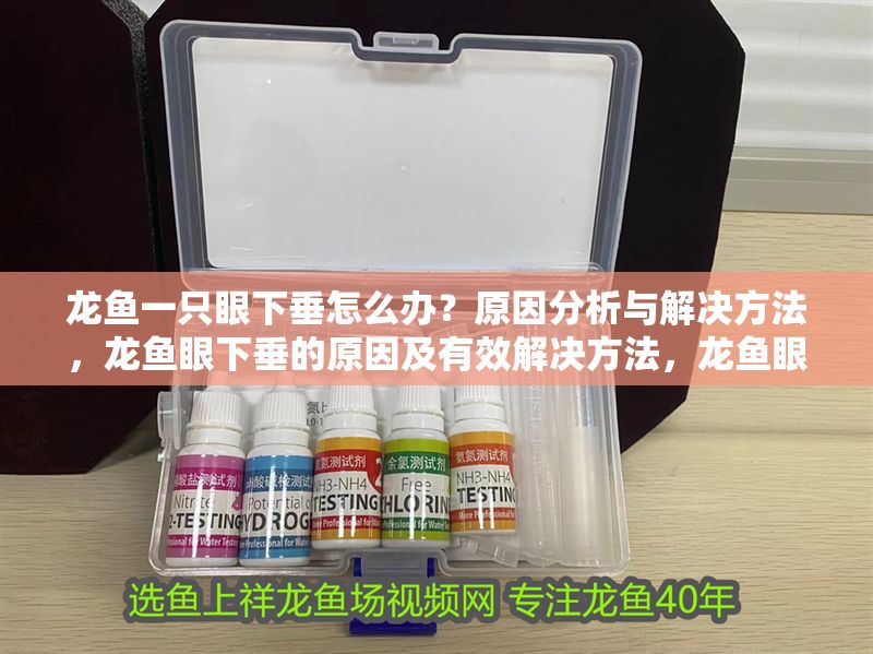 龍魚一只眼下垂怎么辦？原因分析與解決方法，龍魚眼下垂的原因及有效解決方法，龍魚眼下垂的原因及解決全攻略 龍魚一只眼下垂怎么辦？原因分析與解決方法，龍魚眼下垂的原因及有效解決方法，龍魚眼下垂的原因及解決全攻略 龍魚百科 第1張
