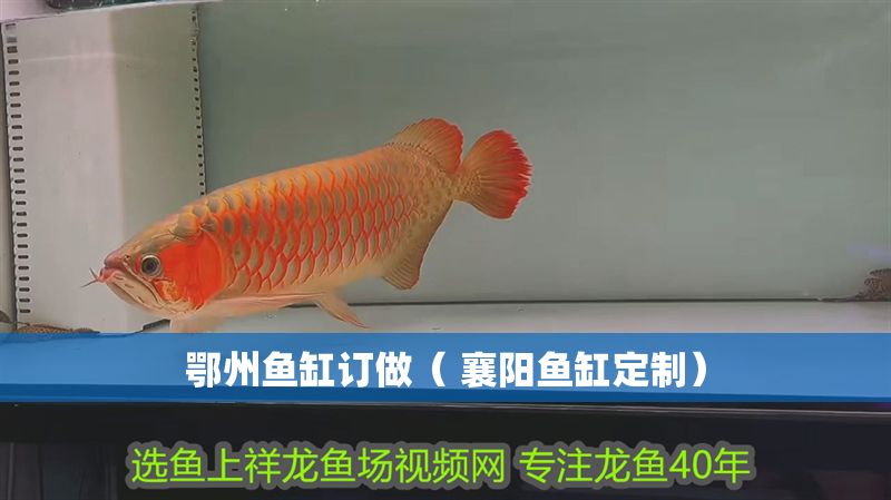 鄂州魚缸訂做（ 襄陽魚缸定制）